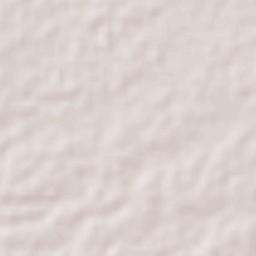 Larreynaga Terrain Map