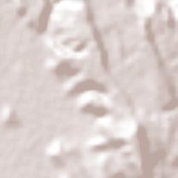 Valle San Francisco Terrain Map