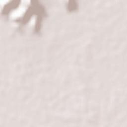 Rolea B'ier Terrain Map