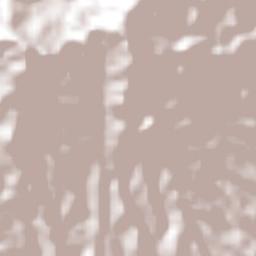 Saint David’s Terrain Map