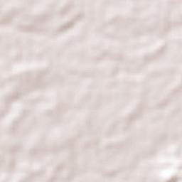 Villa El Carmen Terrain Map