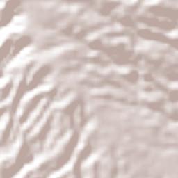 Municipio de San Marcos Terrain Map