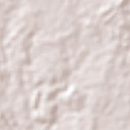 El Rosario Terrain Map