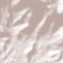 Kozhikode Terrain Map