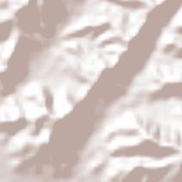 Municipio de Tola Terrain Map