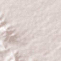 Municipio de Rivas Terrain Map