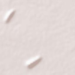 Viraganur Terrain Map