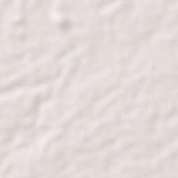 Alangalang Terrain Map