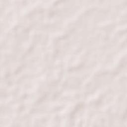 Alangalang Terrain Map