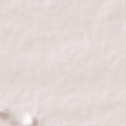 Puduppatti Terrain Map