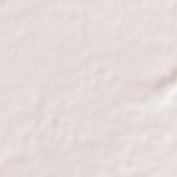 San Vicente Terrain Map