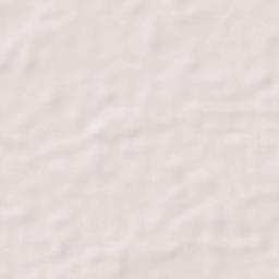 Papanasam Terrain Map