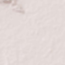 Barotac Nuevo Terrain Map