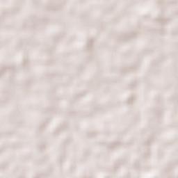 Los Chiles Terrain Map