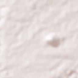 Lopez Jaena Terrain Map