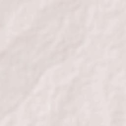 Pallappatti Terrain Map