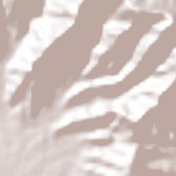 Port of Spain Terrain Map