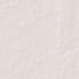 Velankanni Terrain Map