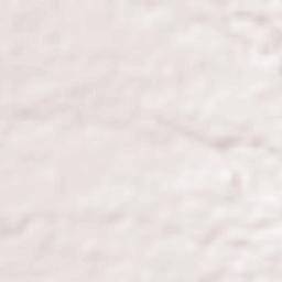 Concepcion Terrain Map