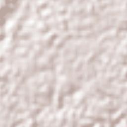 San Carlos Terrain Map