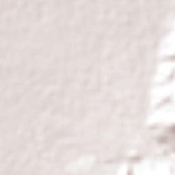 Villanueva Terrain Map