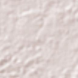 Sangre Grande Terrain Map