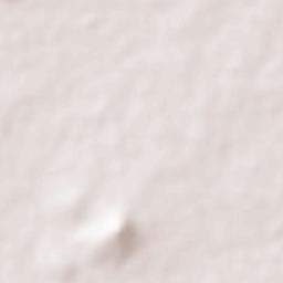 Manapparai Terrain Map