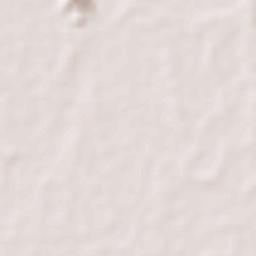 Kampong Tranch Terrain Map