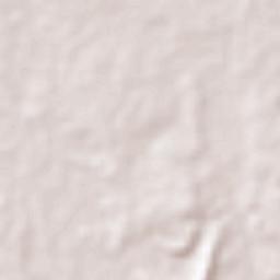 Fundación Terrain Map