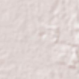 Ward of Chaguanas Terrain Map