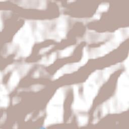 Caucagüito Terrain Map