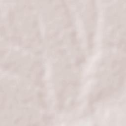 Saminaka Terrain Map