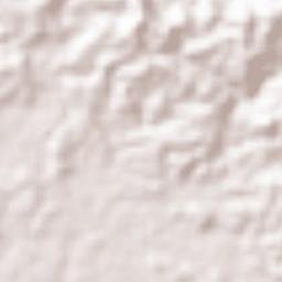 Concepcion Terrain Map