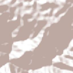 Carrizal Terrain Map