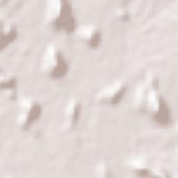 La Castellana Terrain Map