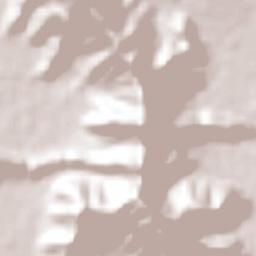 El Limón Terrain Map