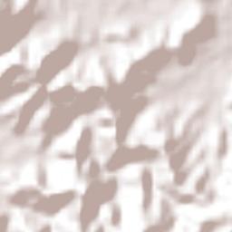 Santa Cruz Terrain Map