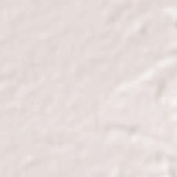 Moises Padilla Terrain Map