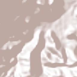 Valverde Vega Terrain Map