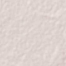 Algarrobo Terrain Map