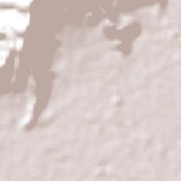 Los Guayos Terrain Map