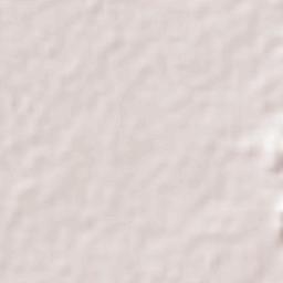 El Copey Terrain Map