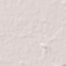 Palo Negro Terrain Map