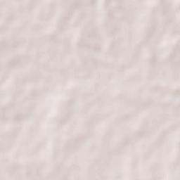 Sabanas de San Angel Terrain Map