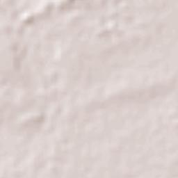 Tocuyito Terrain Map