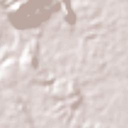 Caripito Terrain Map