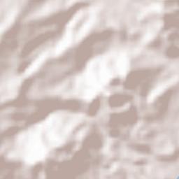 Buenavista Terrain Map