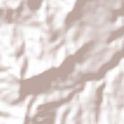 San Ramón Terrain Map