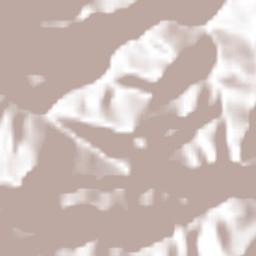 Vázquez de Coronado Terrain Map