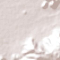 Tacarigua Terrain Map